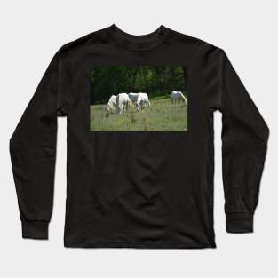 Wild Horses Long Sleeve T-Shirt